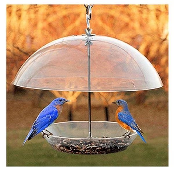 Woodlink NABBFDR Dome Top Seed & Bluebird Bird Feeder, Woodlink Ltd, Mfr#: 143273